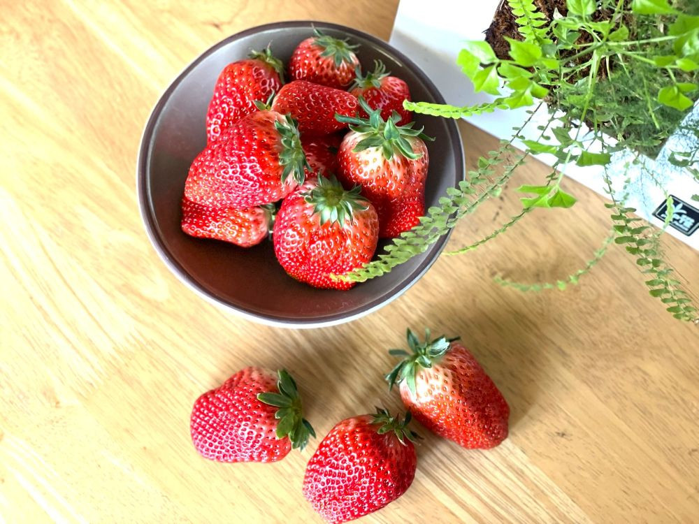 1パックをペロリと食べてしまえる美味しさ