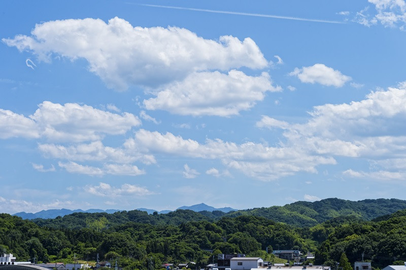 写真