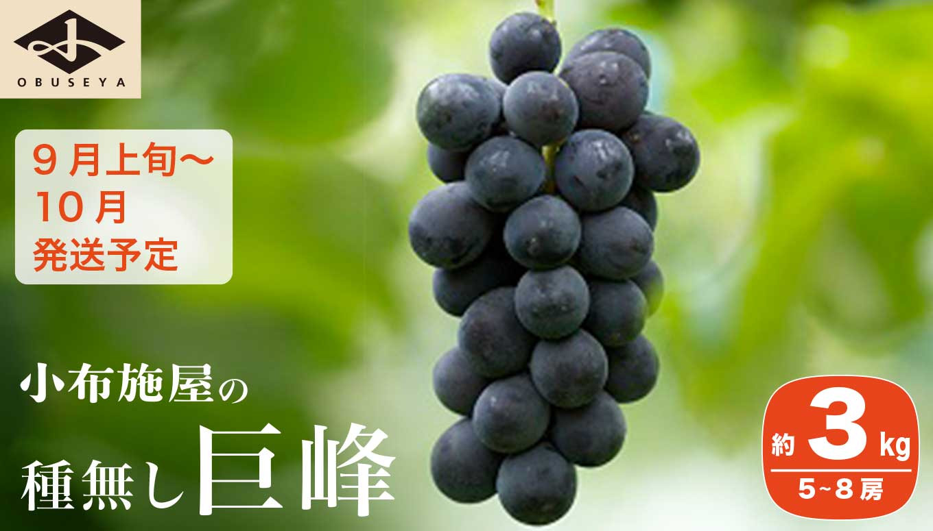 種無しで食べやすい