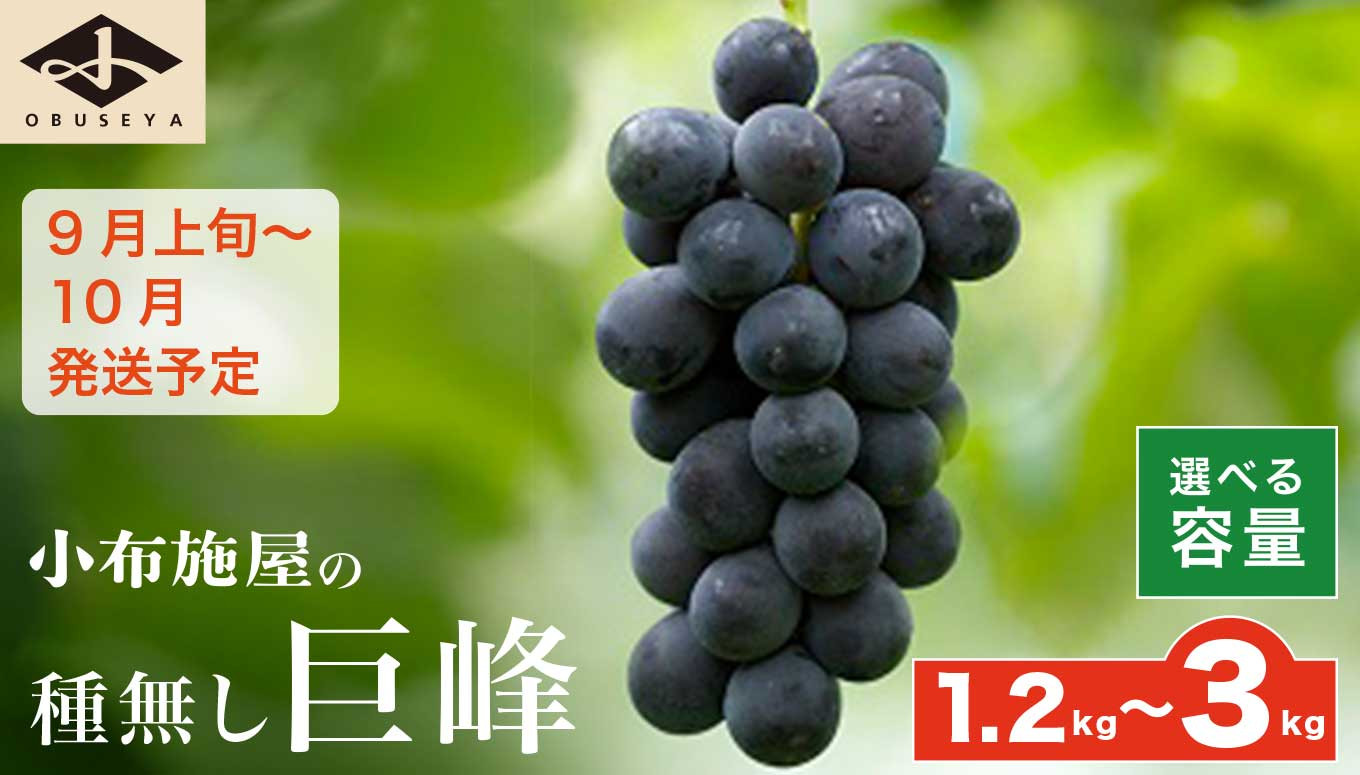種無しで食べやすい