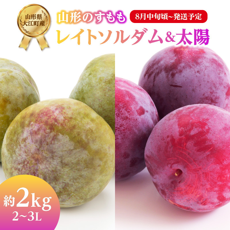 先行受付》すもも「レイトソルダム」「太陽」約2kg 2~3L【2025 先行受付》すもも「レイトソルダム」「太陽」約2kg 2~3L【2025