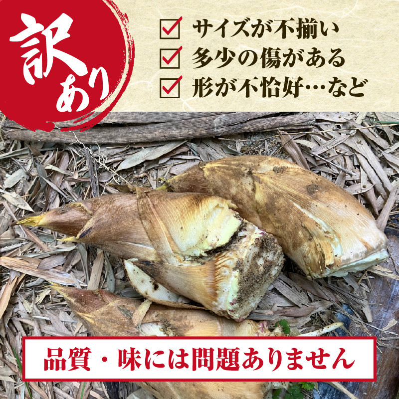 京都山城産生たけのこ （訳あり・ご家庭用） 4kg前後 白子