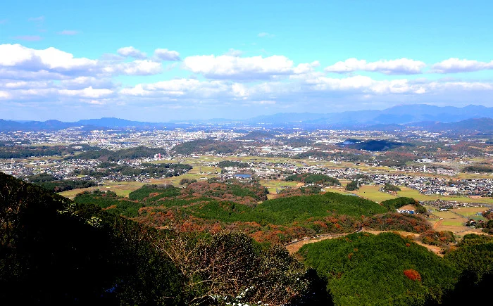 写真