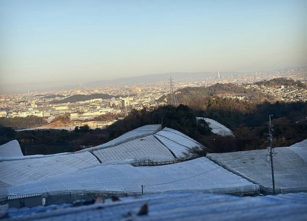畑から大阪市内側を見渡した柏原の景色