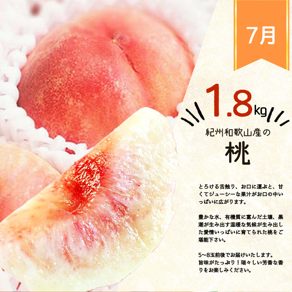 紀州和歌山産の桃　約1.8kg　化粧箱入 の詳細はこちら