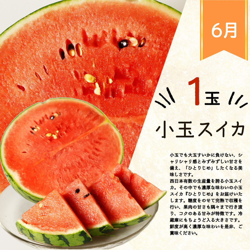 紀州和歌山ブランドいちご「まりひめ」約250g×4P の詳細はこちら
