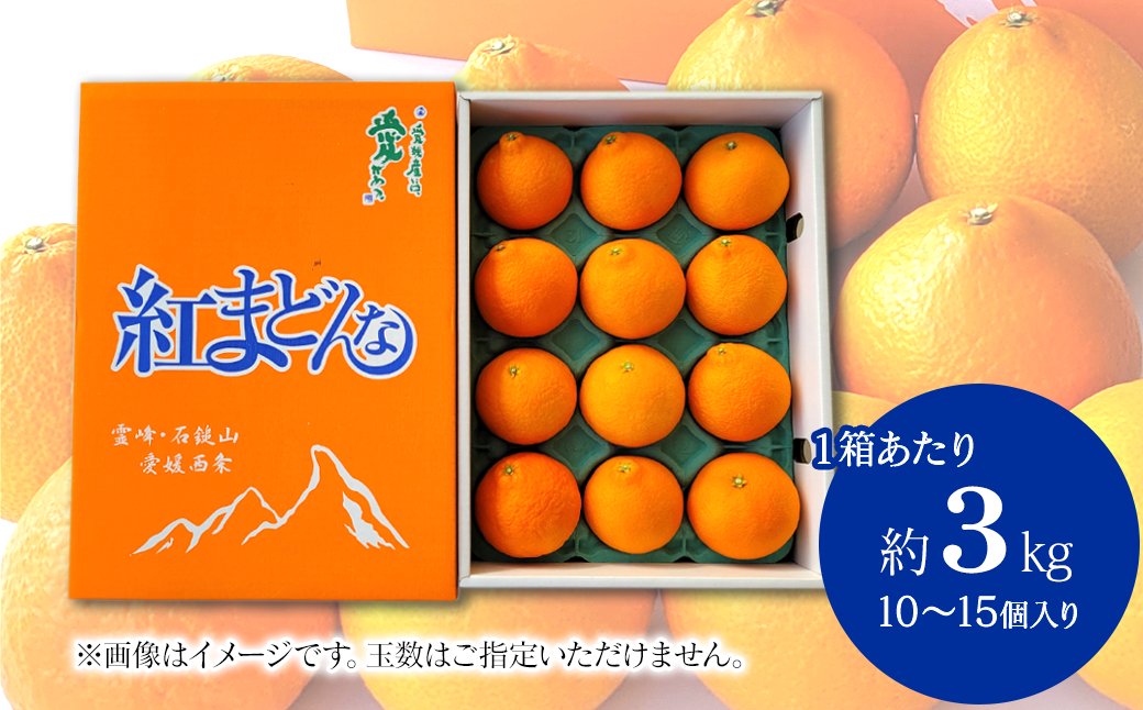 ※個数・サイズはご指定頂けません。こちらの写真は一例です。