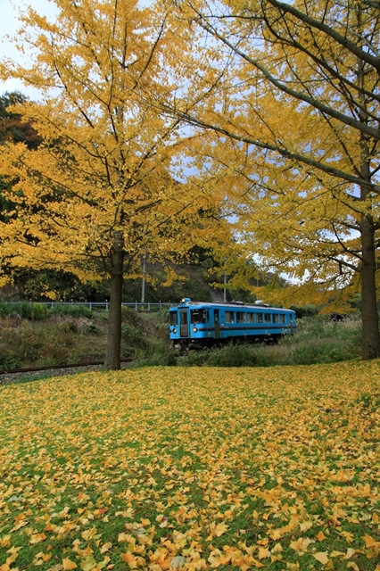 写真