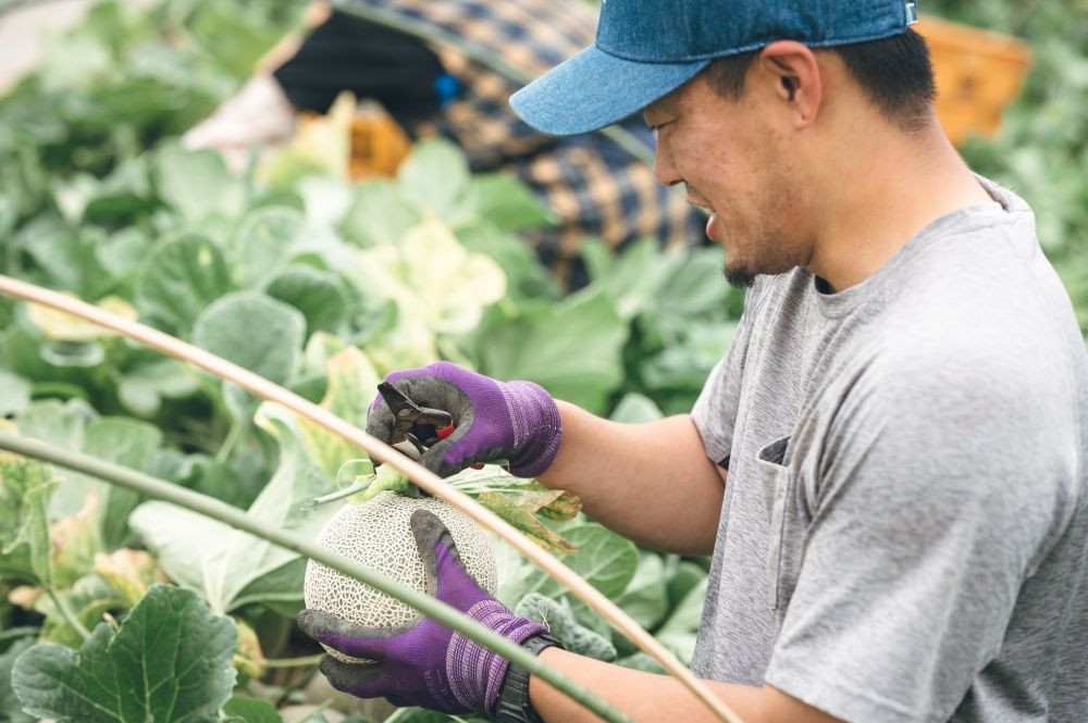 「美味しい」の言葉が嬉しくて今年も頑張れます