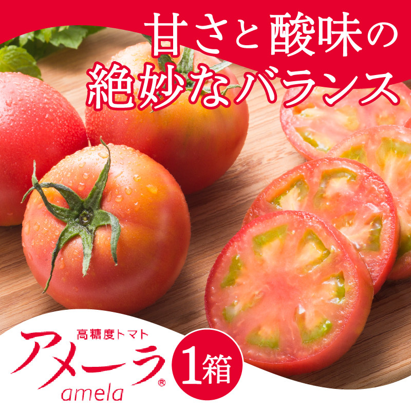 甘》オーガニック高糖度ミニトマト🍅miuトマト🍅 カツオとコンブ