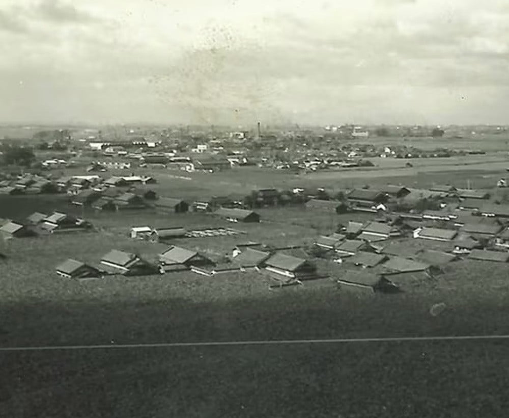 昭和初期の柏原市　※一面ぶどう畑