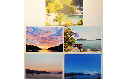 写真