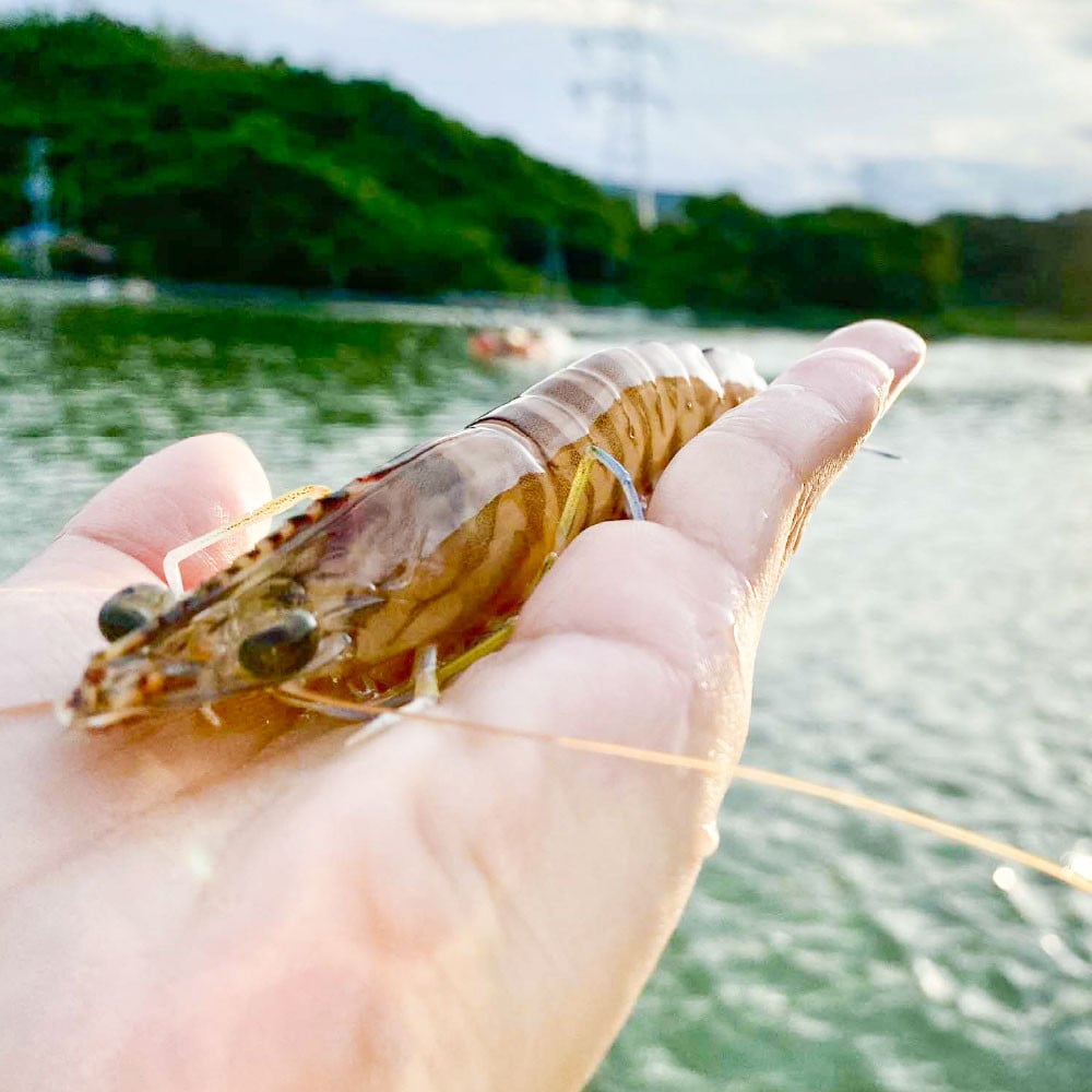 有限会社山本水産