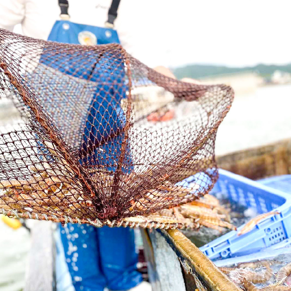 有限会社山本水産
