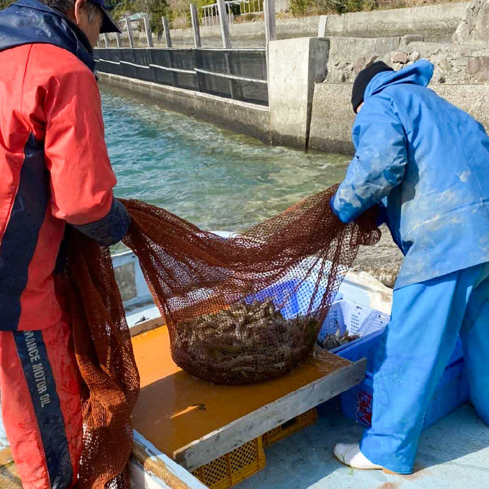 有限会社山本水産