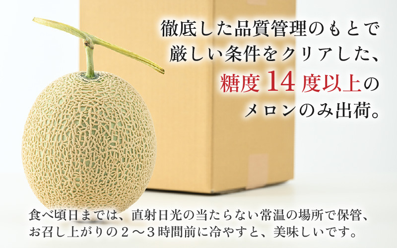 先行予約】【赤肉】アールスメロン 1玉(約1.6kg以上)赤肉品種 先行予約】【赤肉】アールスメロン 1玉(約1.6kg以上)赤肉品種