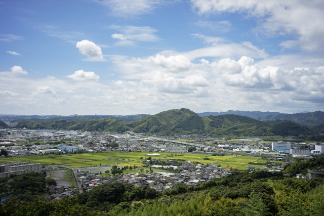写真