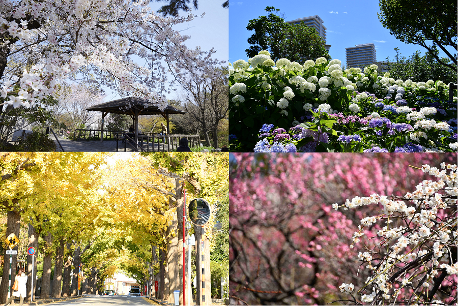 写真