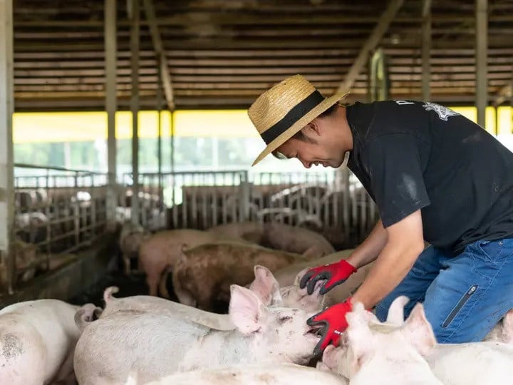 すこやかに育つように,細やかに気を配ります。