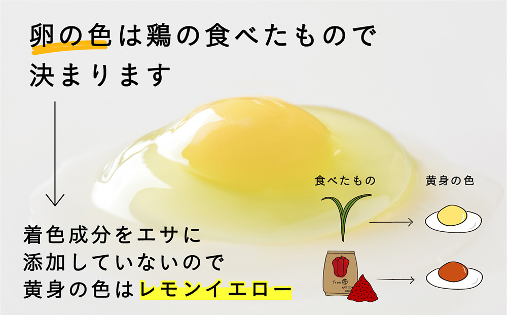 こだわりの無投薬・平飼い有精卵 50個《厚真町》【テンアール こだわりの無投薬・平飼い有精卵 50個《厚真町》【テンアール