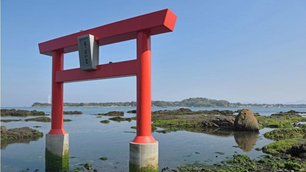 写真