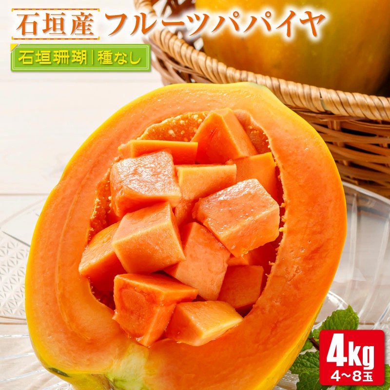 フルーツパパイヤ10kg以上 3404_1.jpg