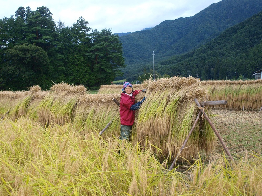写真