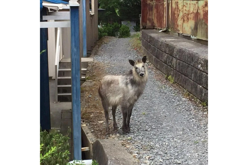 写真