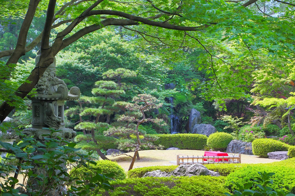 庭園