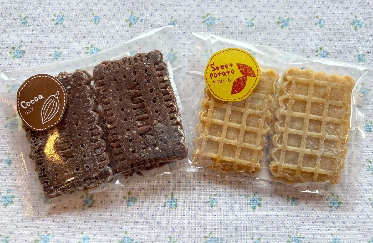 写真