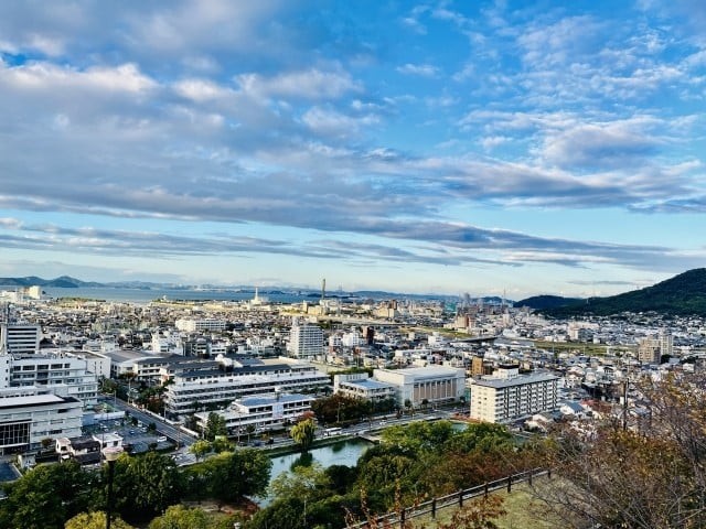 写真
