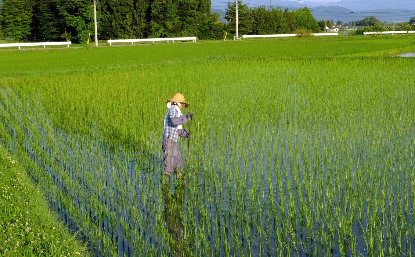 写真