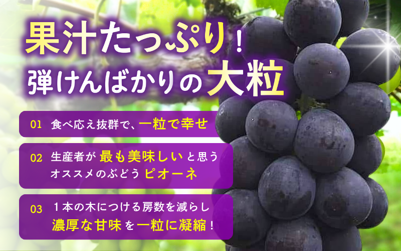 果汁たっぷり!弾けんばかりの大粒