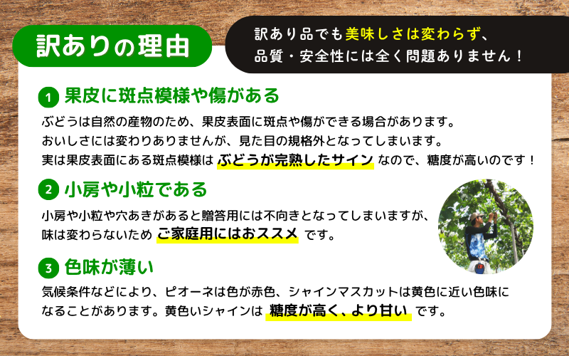 訳ありの理由 1果皮に斑点模様や傷がある 2小房や小粒 3色味が薄い