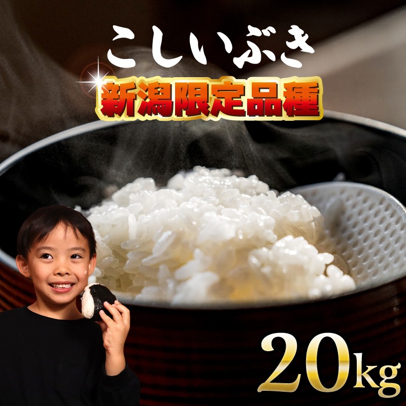 令和7年　こしひかり　こしいぶき　白米 20 キロセット ふるさと納税 米 新潟県 新発田市 先行予約 令和7年産 こし