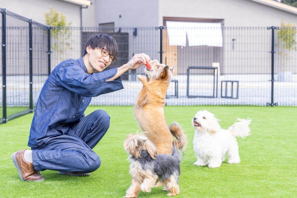 写真