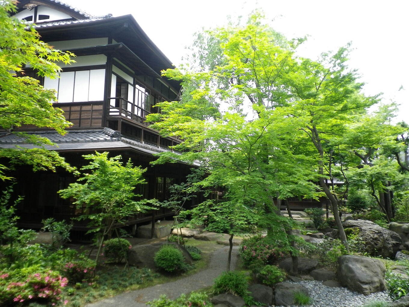 写真