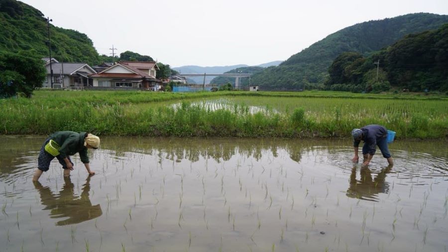 写真