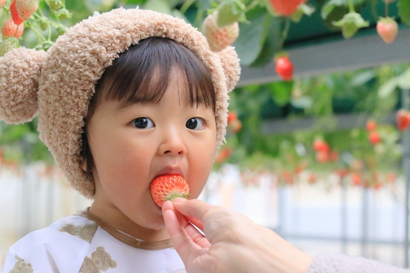 大きなお口でパクリ