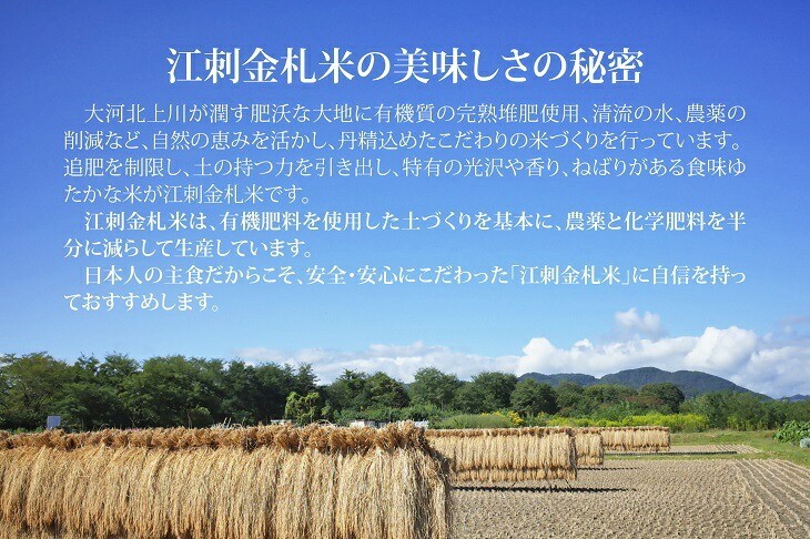 江刺金札米ひとめぼれ パック米 5kg×1袋 令和6年産 特別栽培米