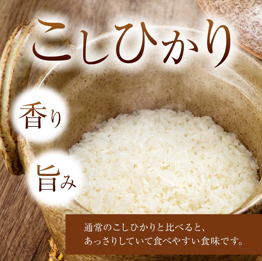 8月から出荷! 新米 宮崎県産 こしひかり | 選べる内容量 5kg or