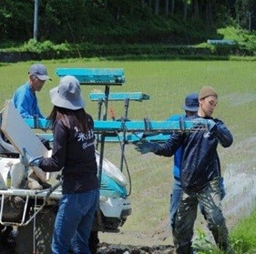 写真