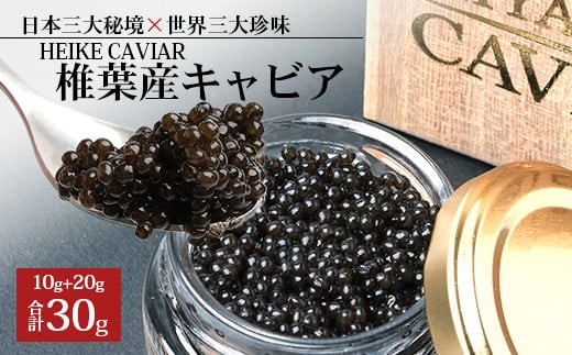 寄付金額 42,500円