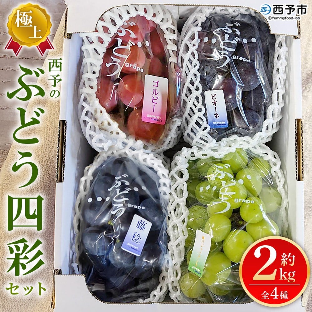 シャドウボックス完成品　フルーツ盛り合わせ フルーツ ギフト 果物 くだもの セット お祝い ぶどう 内祝い