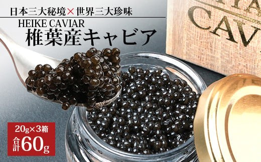 寄付金額 77,000円