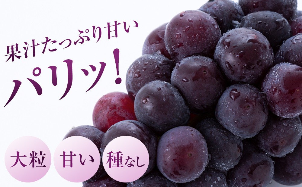 岡山県産ニューピオーネ 2房 贈答用】 岡山県産ニューピオーネ 2房（1000g以上） | agrisfarm