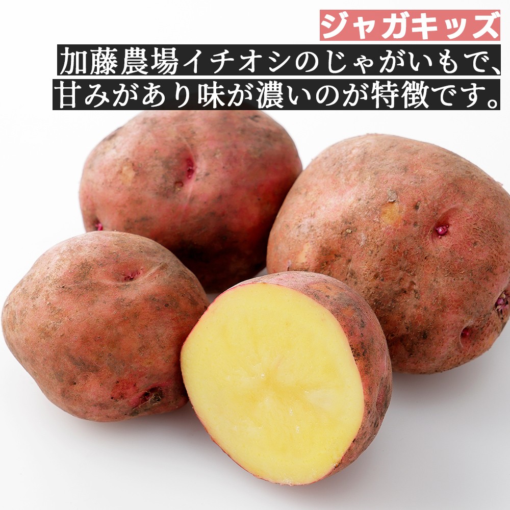 ひろ　カラフルポテト6種類セット　新じゃがいも 楽天市場】北海道 カラフルじゃがいも8種食べ比べセット 北海道