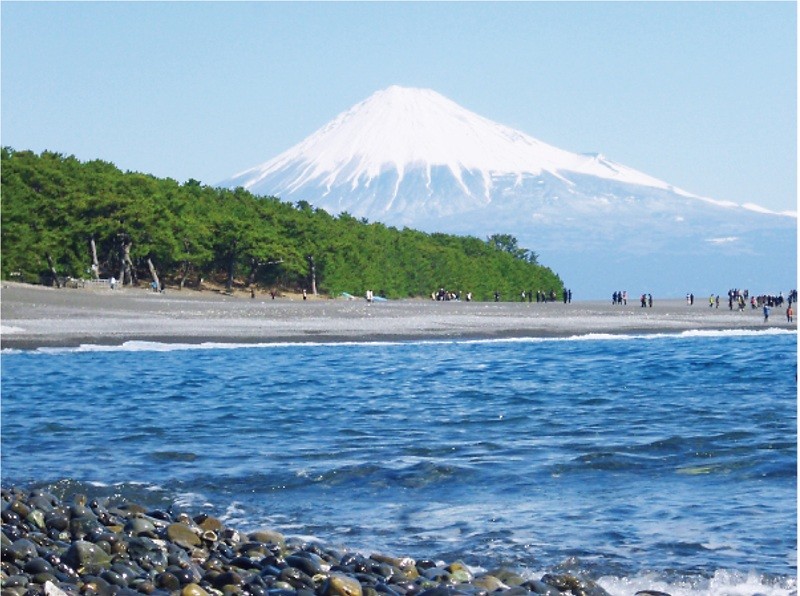 写真
