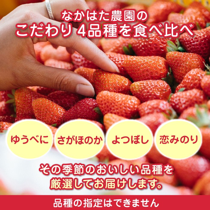 甘さと酸味が絶妙なバランスの いちご です