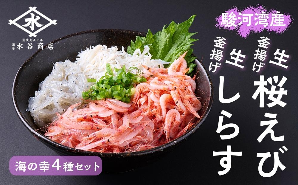 駿河湾産 生桜えび85g、釜揚げ桜えび75g、生しらす100g、釜揚げ